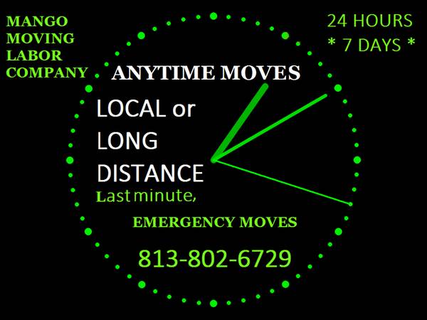 Moving Help Experienced +Affordable  Tampa moving labor, moving labor tampa